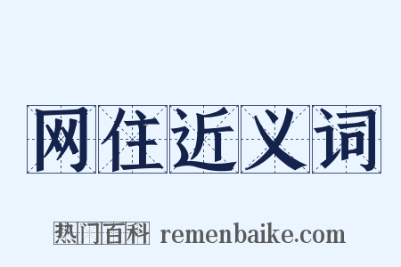 网住近义词是什么意思的图片